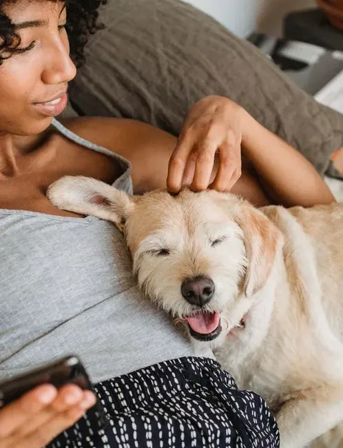 The Science Behind Heartbeat Synchronization (Image Credits: Pexels)
