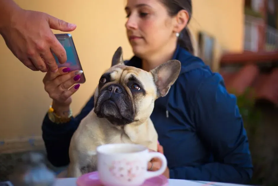2. Interrupting Your Attention (Image Credits: Pexels)