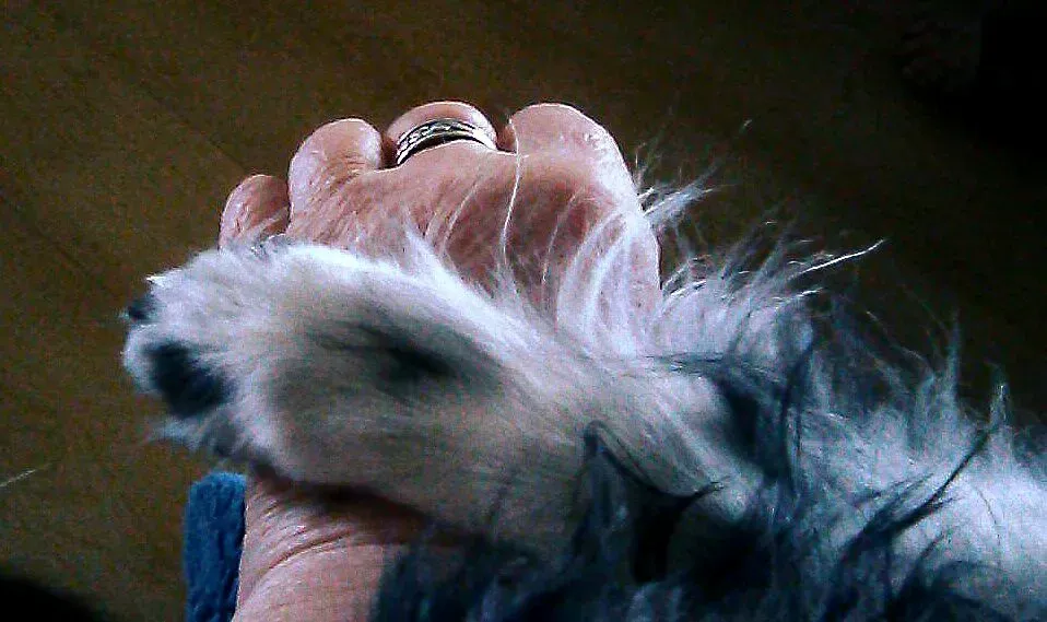 How to Respond So You Both Win (Without Creating Chaos) (Image Credits: Flickr)