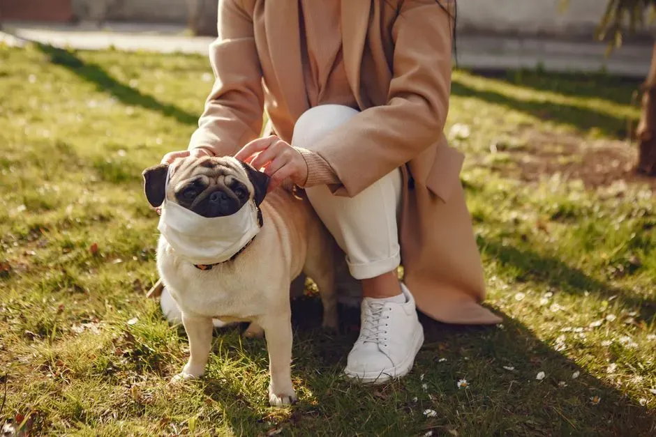 #7 - They Stay Completely Calm Until Someone Crosses An Invisible Line (Image Credits: Pexels)
