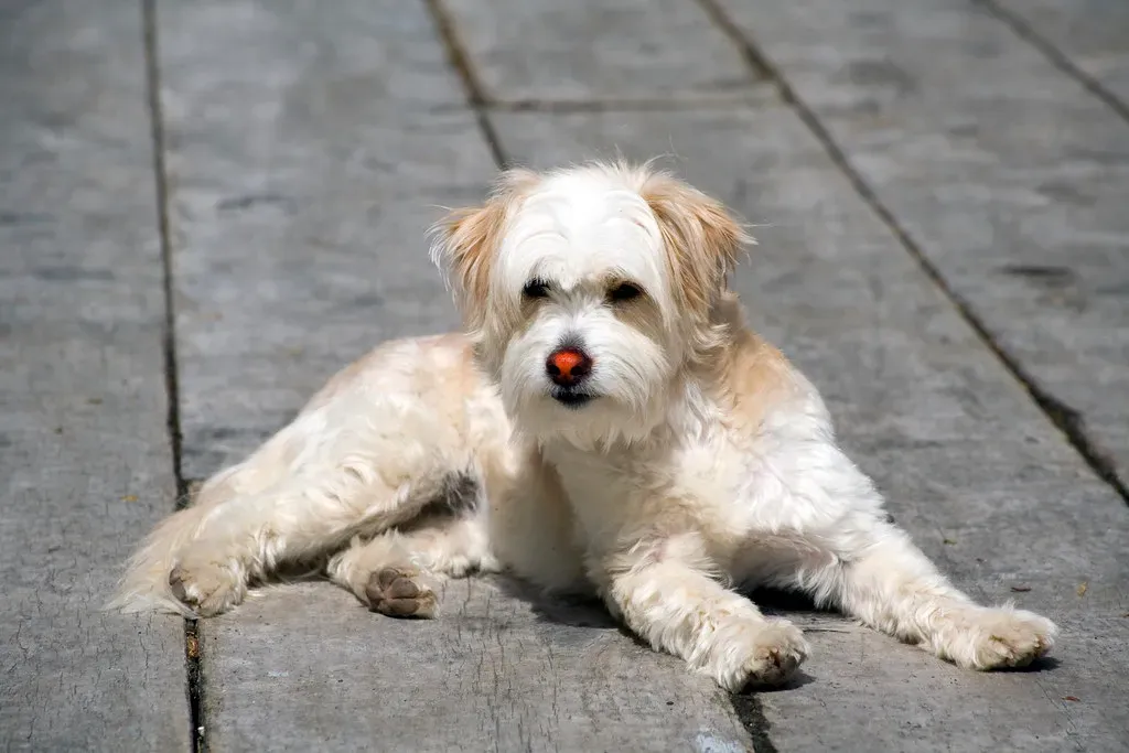 The Numbers That Will Make Your Jaw Drop (Image Credits: Flickr)