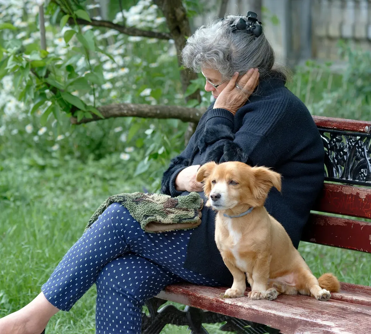 #5 - Being Approached Slowly, Not Surprised (Image Credits: Pixabay)