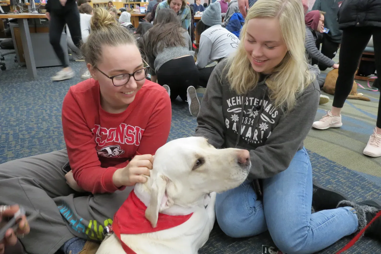 Labrador Retriever (Image Credits: Wikimedia)