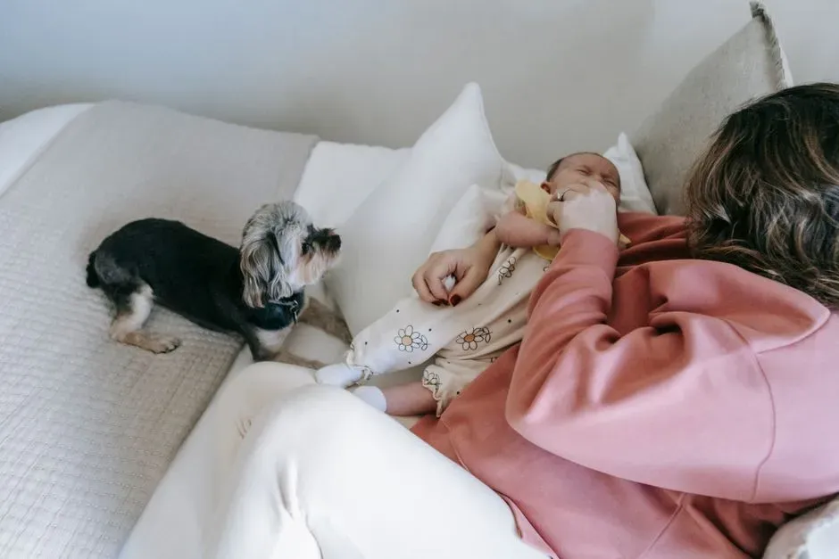 They Form New Bonds With Baby Gear or Spaces (Image Credits: Pexels)