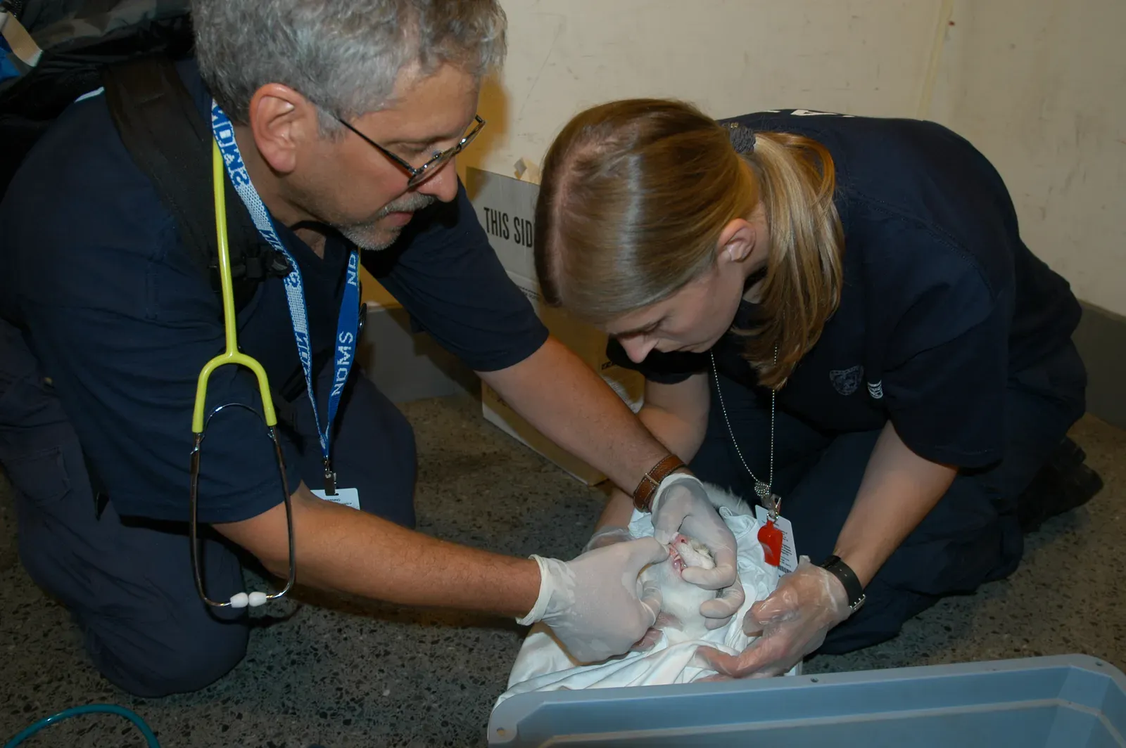 Medical Issues Are Often the Hidden Culprit (Image Credits: Wikimedia)