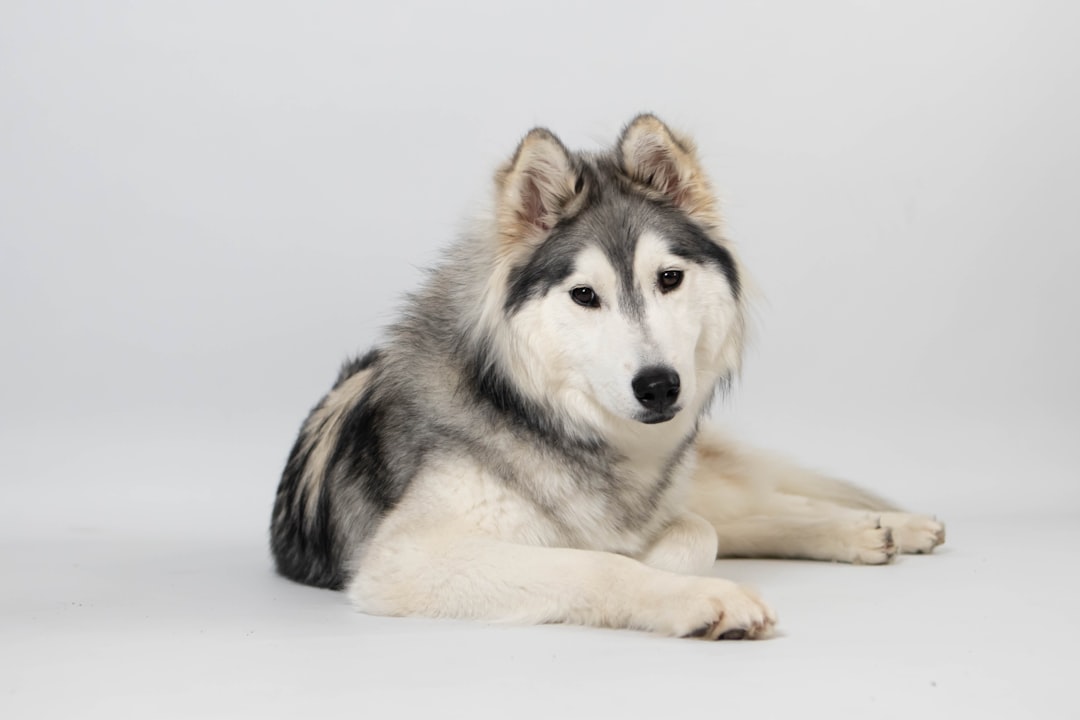 Conclusion: Embracing the Beautiful Challenge (Image Credits: Unsplash)