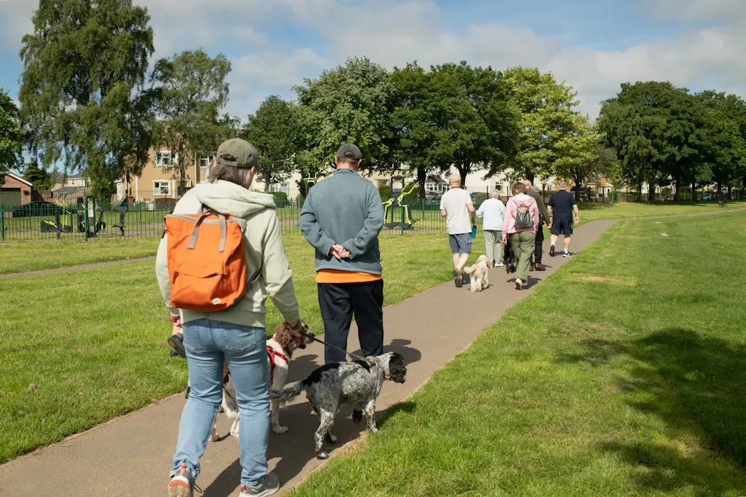 #2 - They've Stopped Chasing Every Dog Drama At The Park (Image Credits: Unsplash)