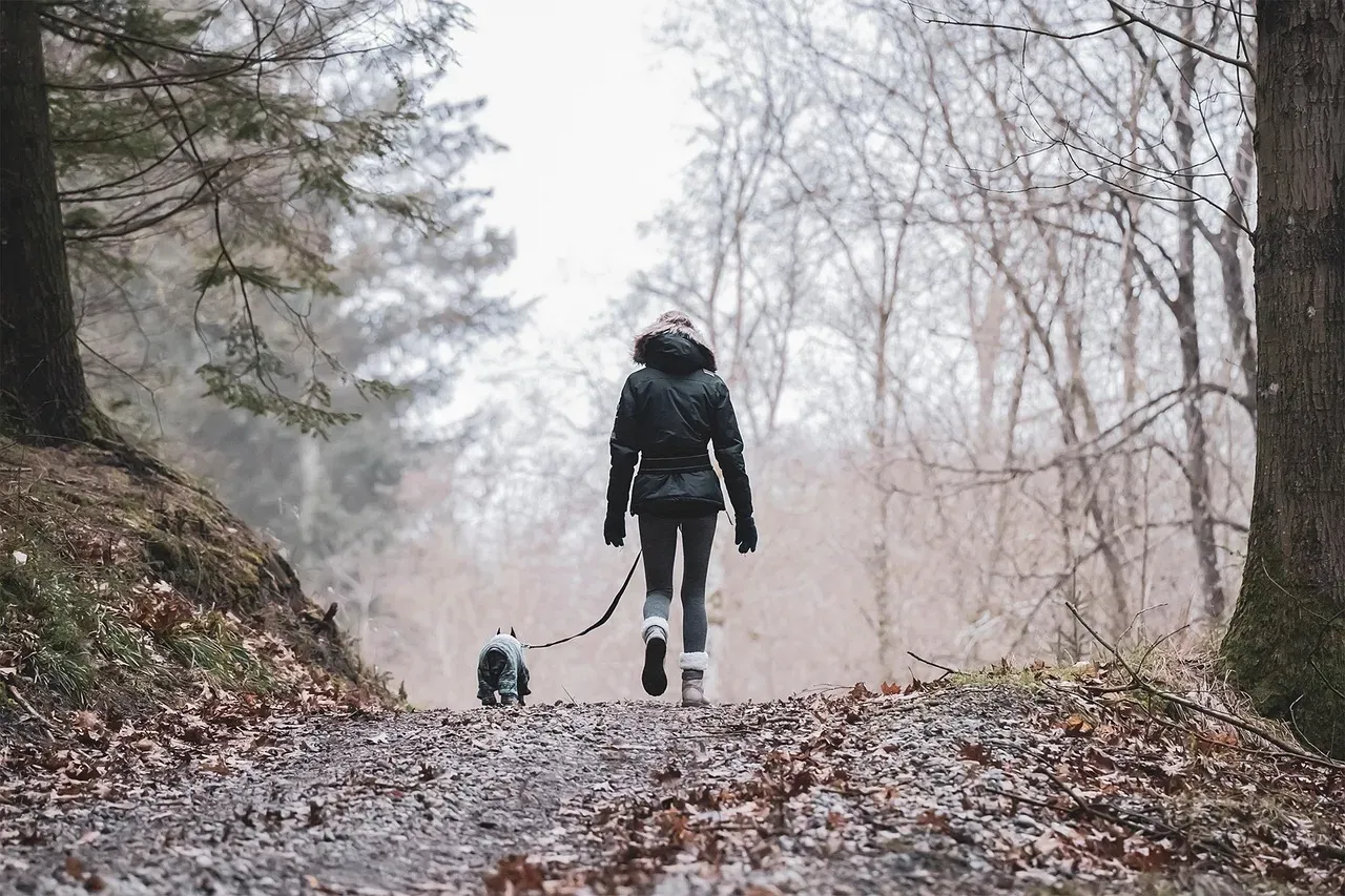 #6 – The Unremarkable Walk You Barely Remember (Image Credits: Pixabay)