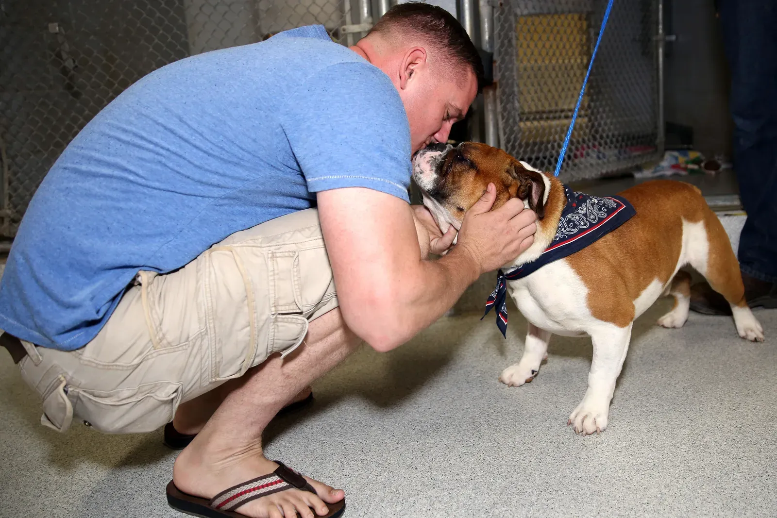 Conclusion: The Beautiful Reality of Second Chances (Image Credits: Wikimedia)