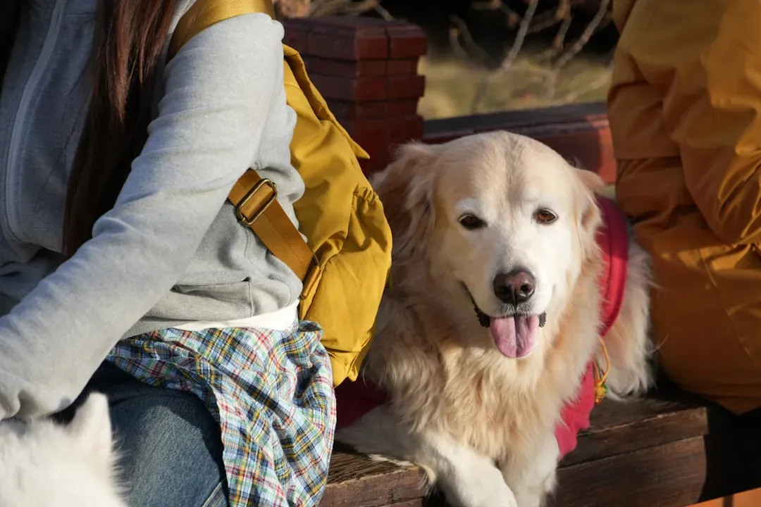 Your Heart Health Gets A Canine Boost (Image Credits: Unsplash)