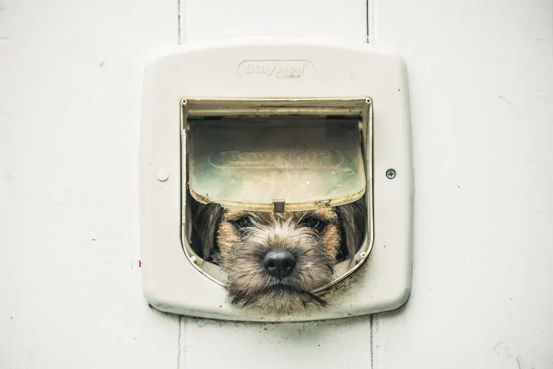 #11 - Which Doors Lead Where (Image Credits: Unsplash)