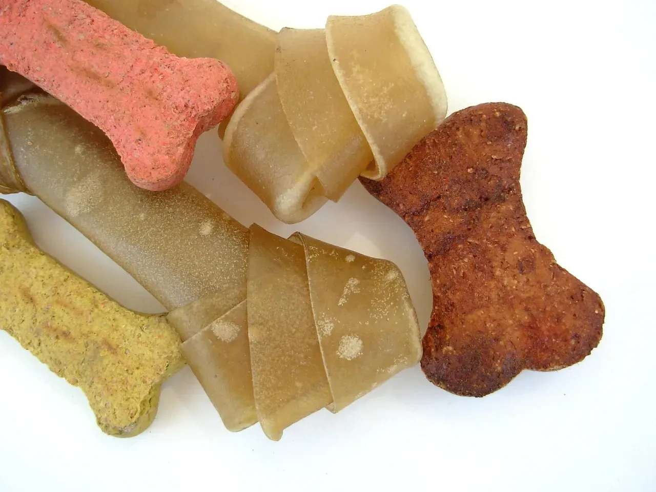 #5 - They Stop Hoarding Treats and Toys (Image Credits: Pixabay)
