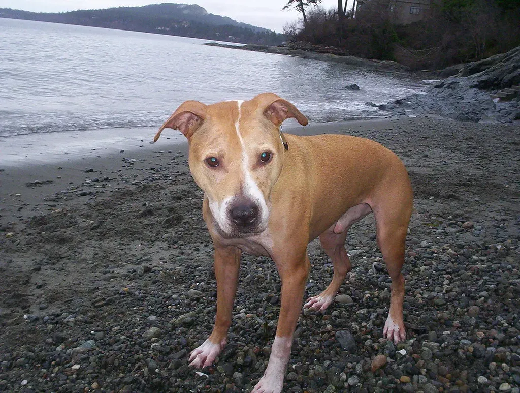 3. Start Thinking of Yourself as a Bridge, Not a Destination (Image Credits: Flickr)