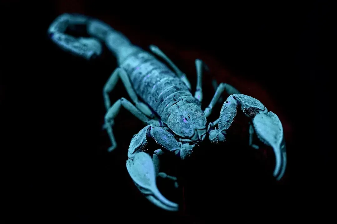 #3. Scorpio: The Confident Exterior Hiding Deep Self-Doubt (Image Credits: Unsplash)