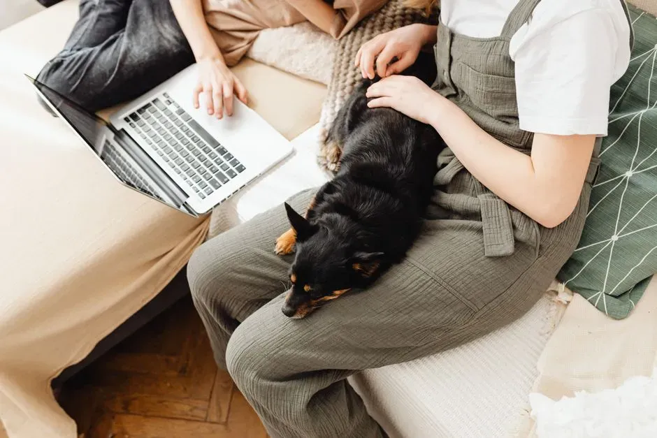 #2 - They Choose Your Lap or Spot Over Everyone Else's (Image Credits: Pexels)