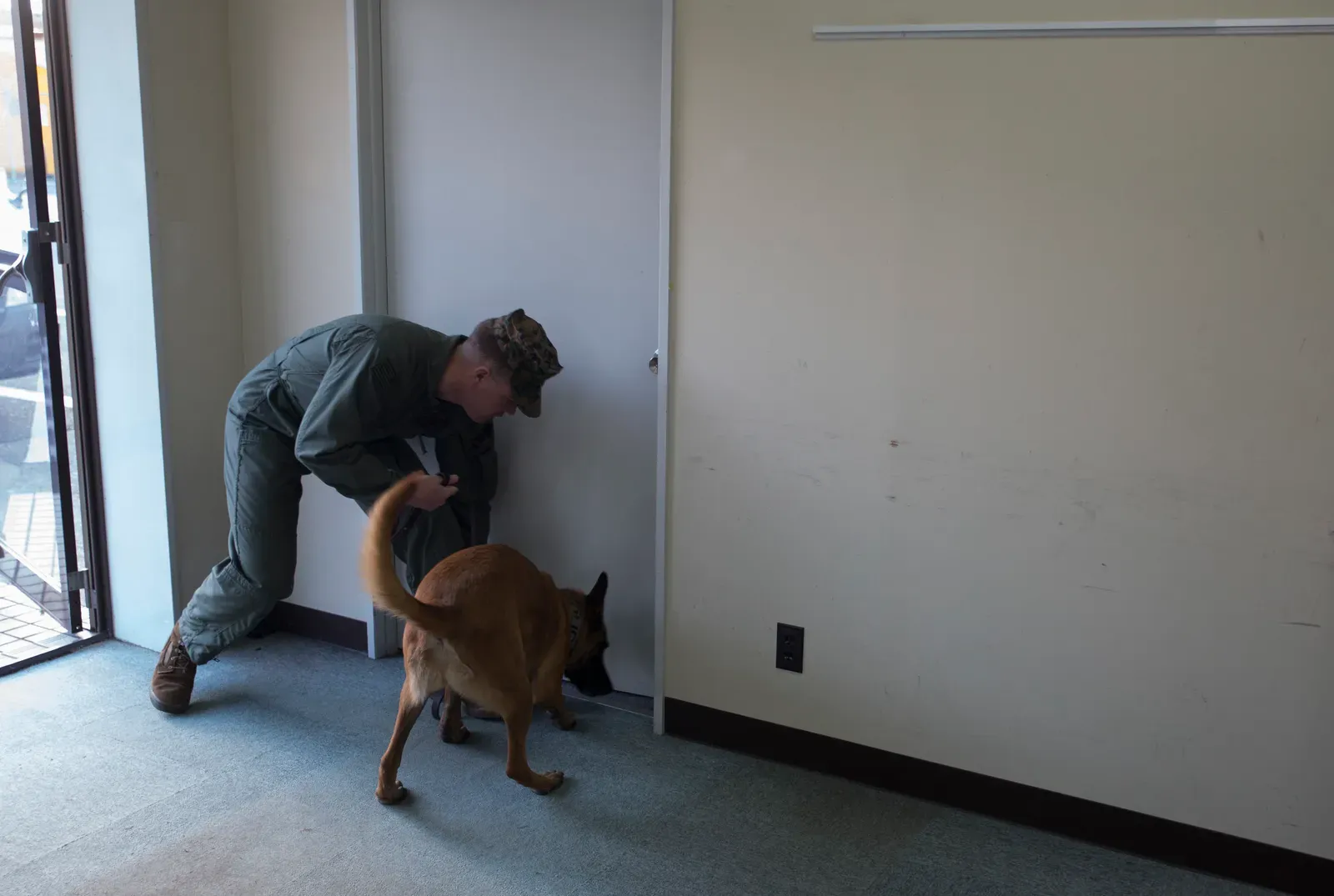 #2 - Stop Calling It Separation Anxiety - It's Often Just Curiosity Doing Its Job (By Pfc. Carlos Cruz Jr., Public domain)