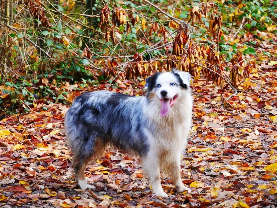 Conclusion: The Gift of Goodbye (Image Credits: Unsplash)