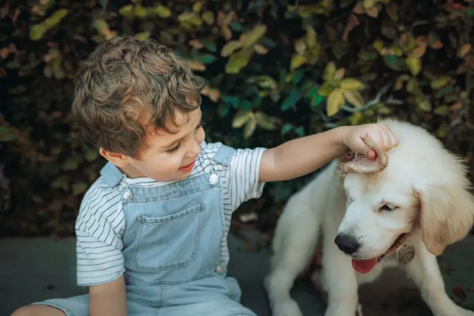 #9 - The Kid Who Actually Played On The Dog's Terms (Image Credits: Pexels)