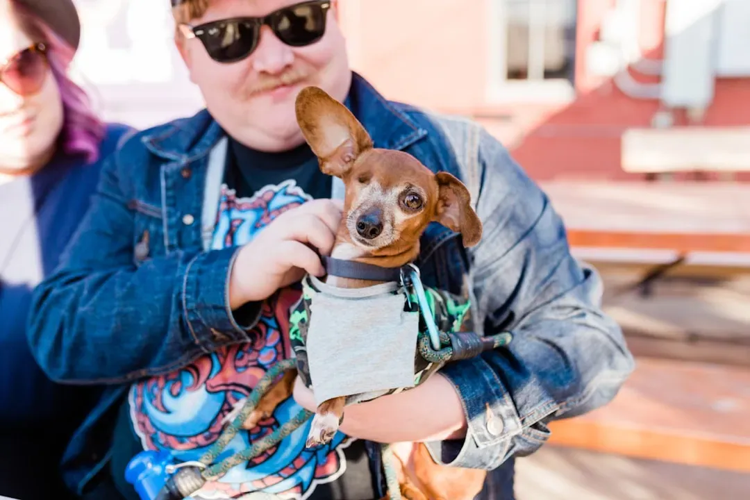 5. Vision or Hearing Loss Making the World Feel Bigger and Scarier (Image Credits: Unsplash)