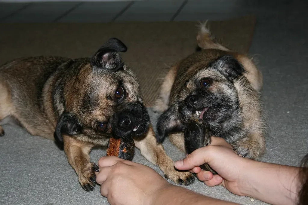 Create Separate Safe Spaces and Manage Resources (Image Credits: Flickr)