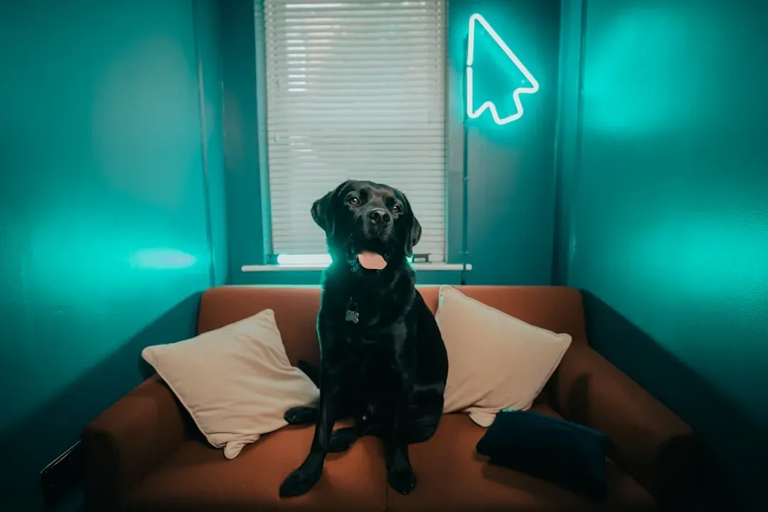 Finding the Perfect Home Away From Home (Image Credits: Unsplash)