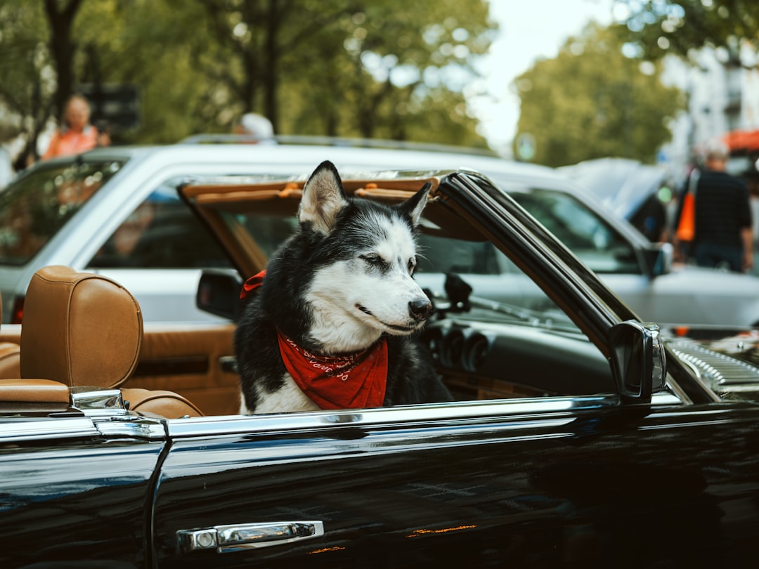 Preparing for Future Mercury Retrogrades (Image Credits: Unsplash)