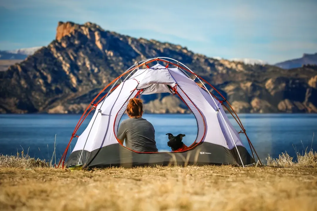 Camping With Dogs and Kids: Extra Precautions That Really Matter (Image Credits: Unsplash)