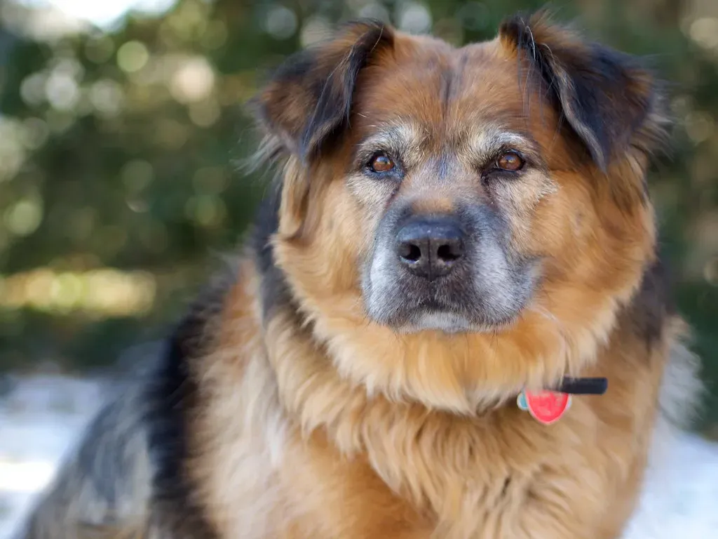 The Bigger Picture (Image Credits: Flickr)