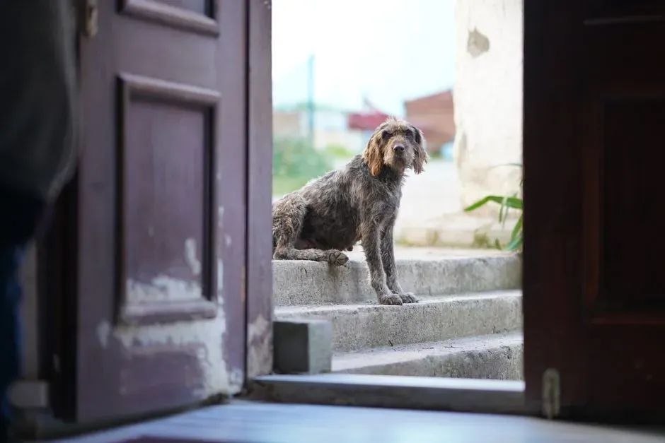 #12 - The Doorway Moment That Decides "Easy Job" or "Hazard Pay" (Image Credits: Pexels)