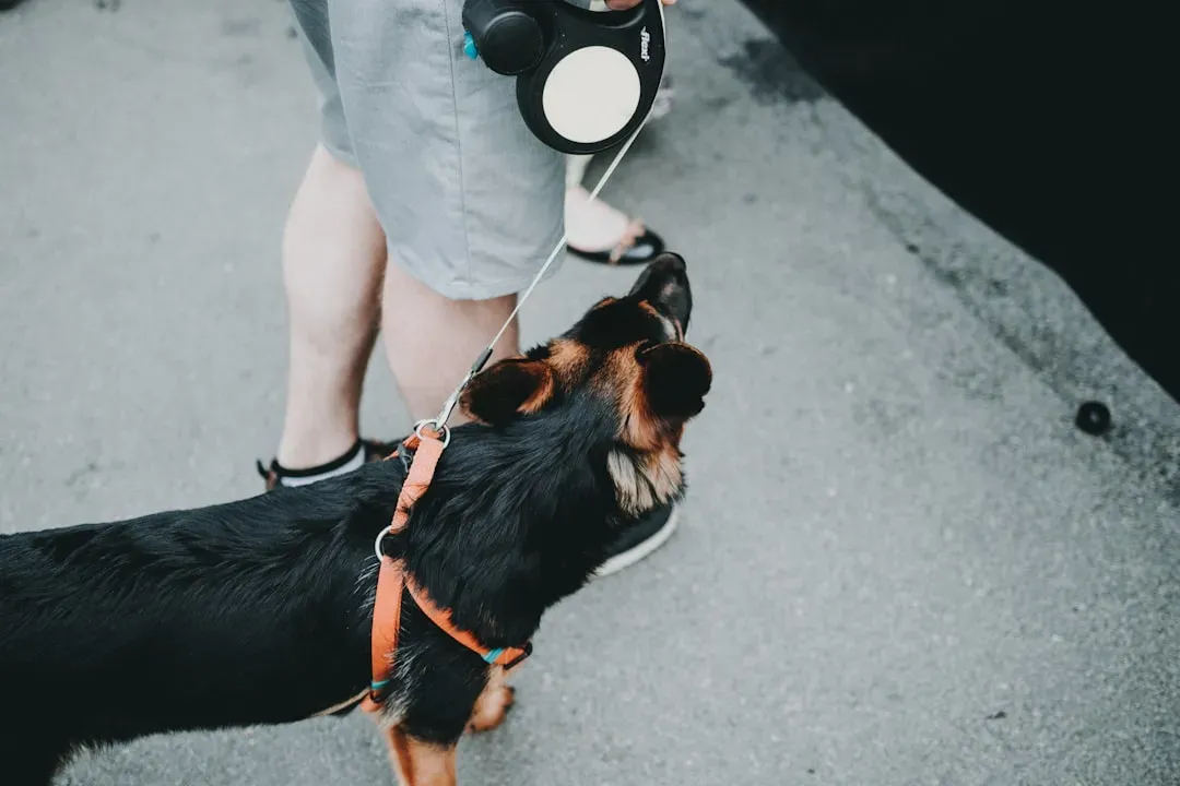 #7 - The Soft Lean Into Your Leg They Pretend Not to Need (Image Credits: Unsplash)