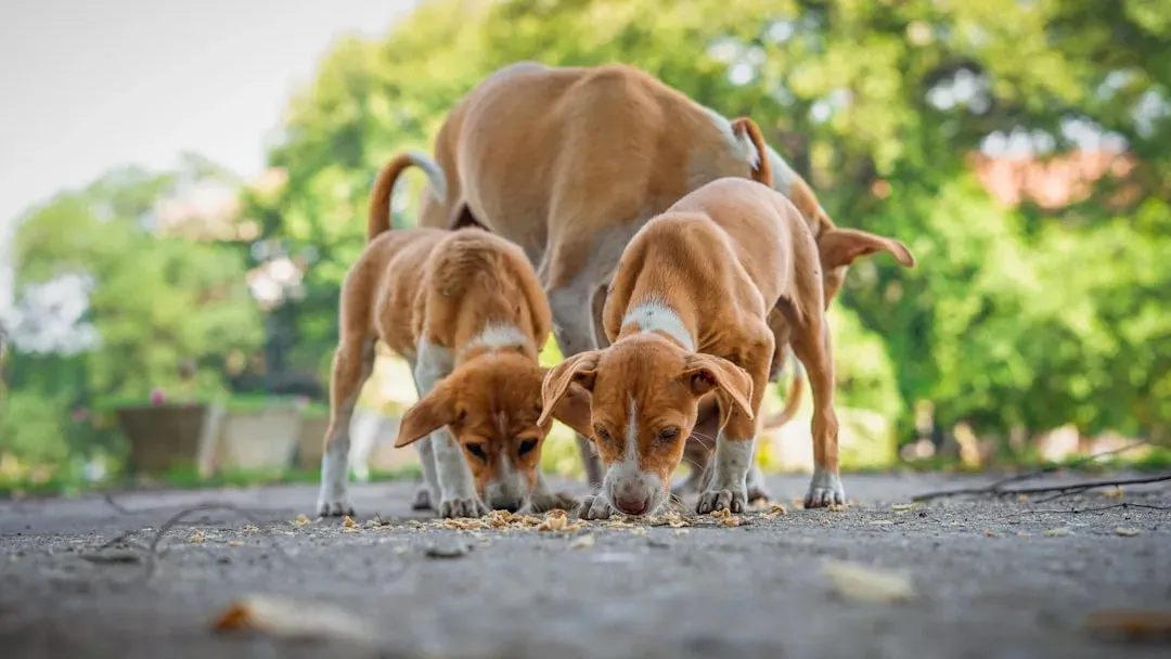 Other Factors That Might Be at Play (Image Credits: Unsplash)