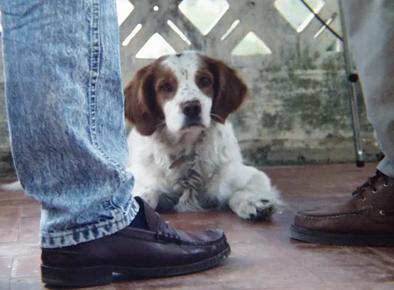 The Morning Warm-Up That Takes Just a Little Too Long (By Mcapdevila, CC BY-SA 3.0)