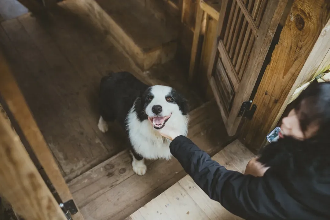#5 - Your Homecoming Triggers a Completely Different Reaction (Image Credits: Unsplash)