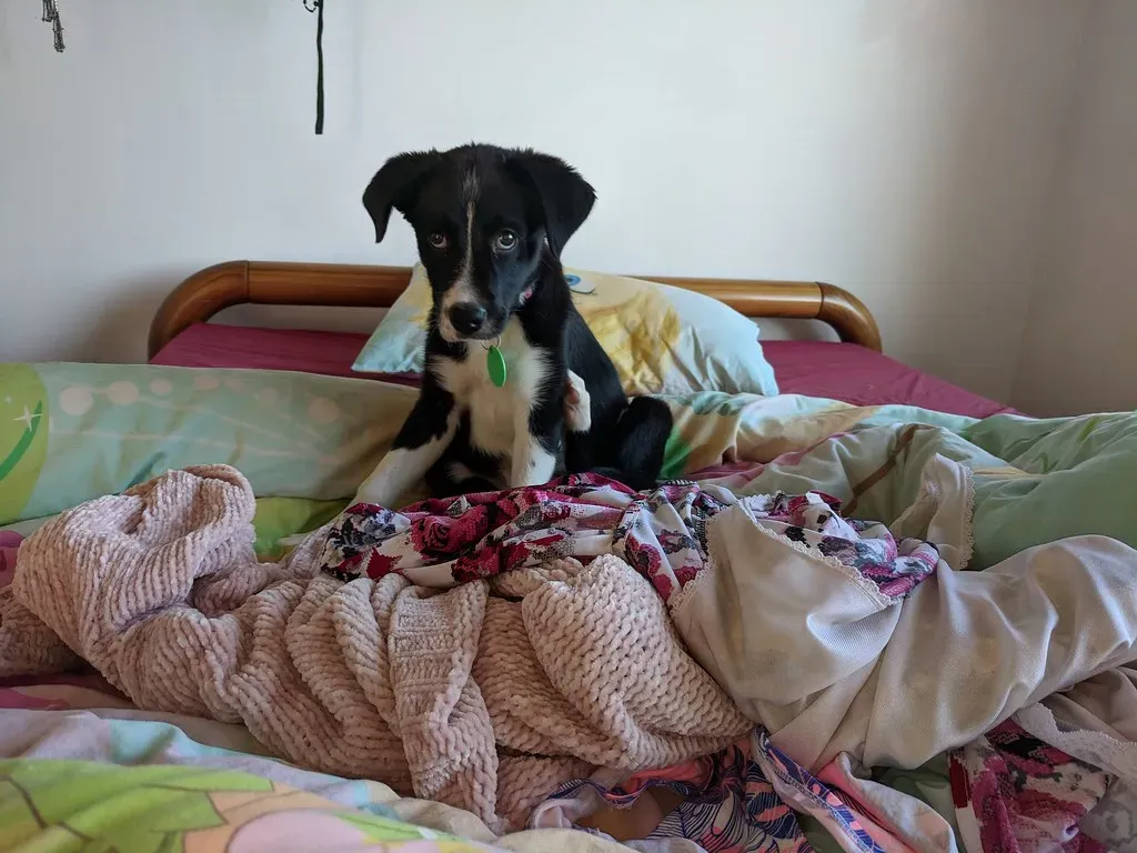 Old T-Shirts (Image Credits: Flickr)