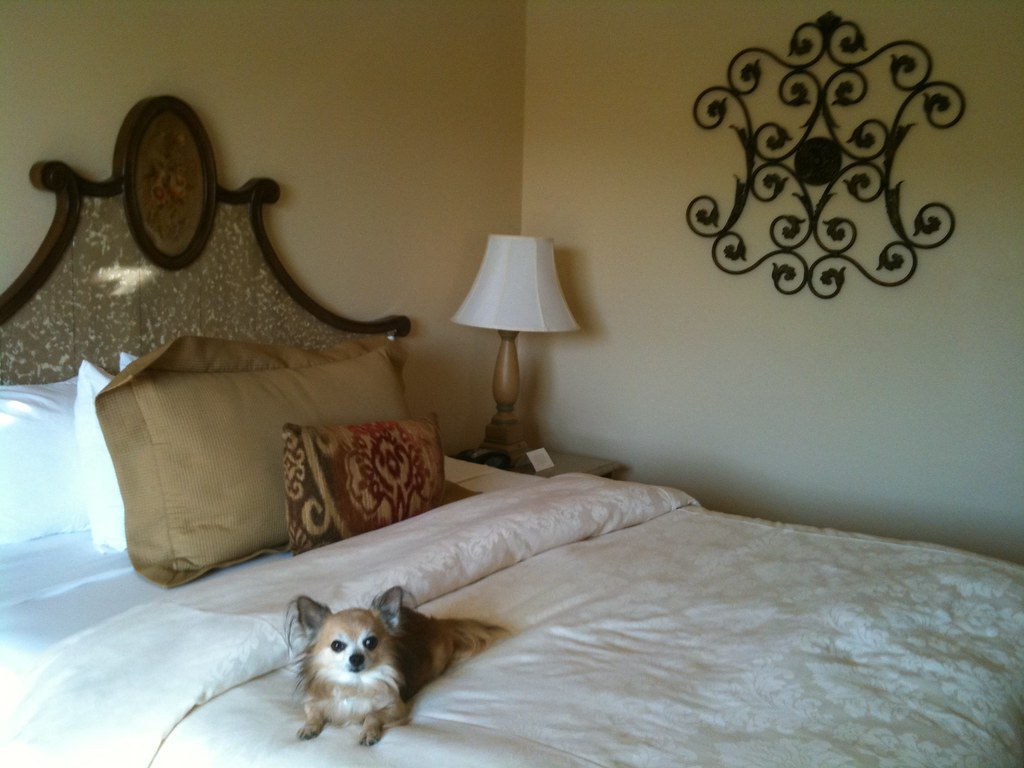 Create a Calm Environment (Image Credits: Flickr)