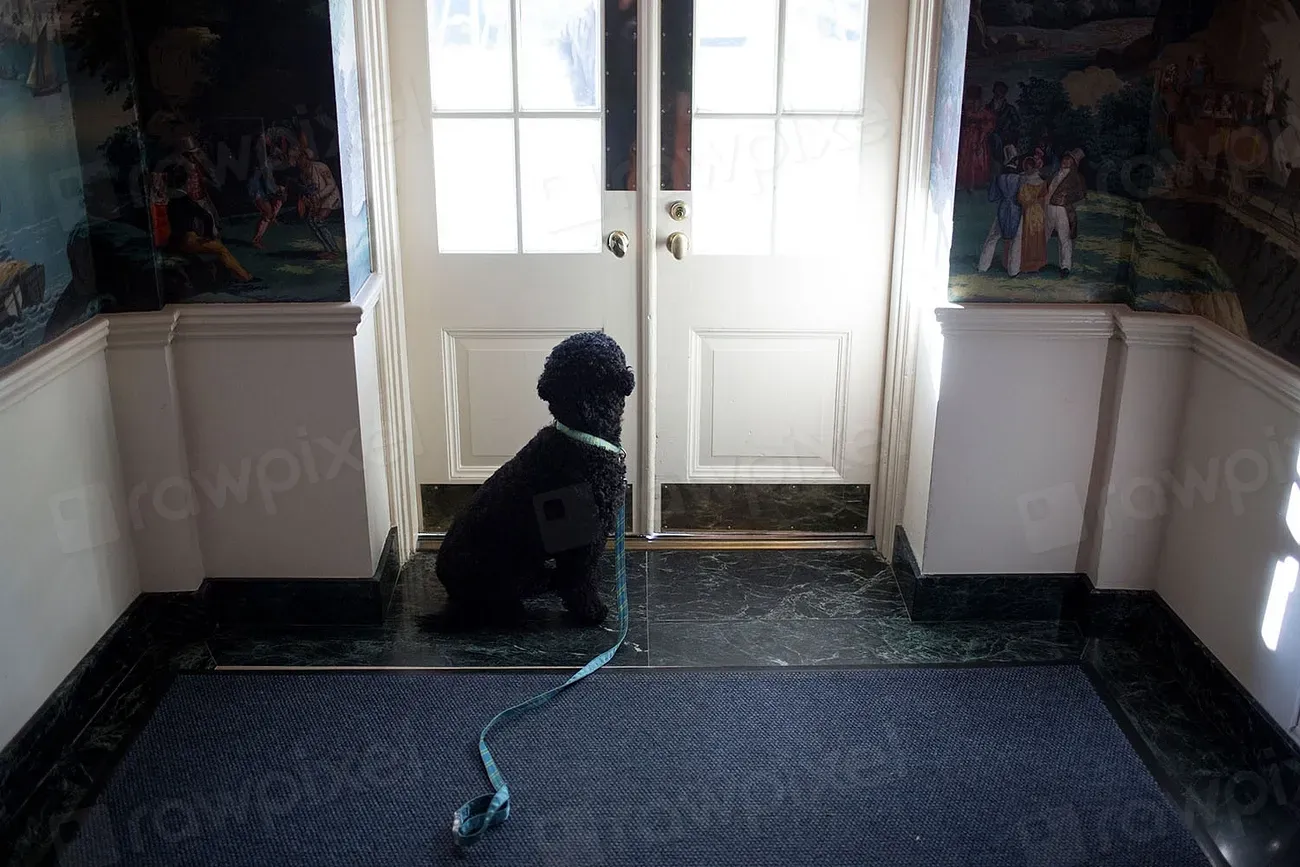 The Beautiful Truth Behind the Waiting (Image Credits: Rawpixel)