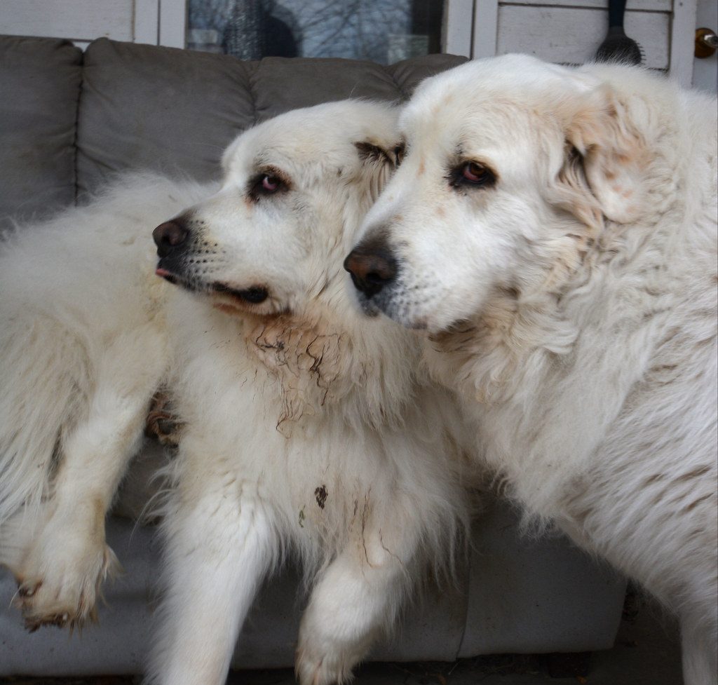 Understanding When Nudging Becomes a Problem (Image Credits: Flickr)