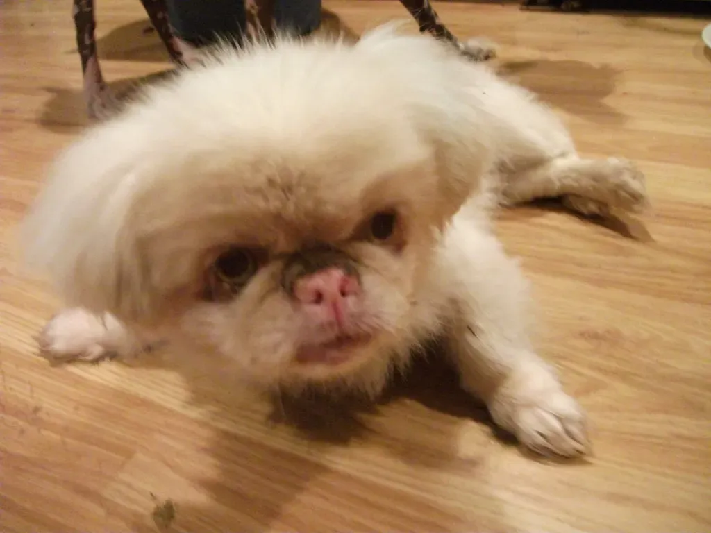 Unusual Mobility and Movement Patterns (Image Credits: Flickr)