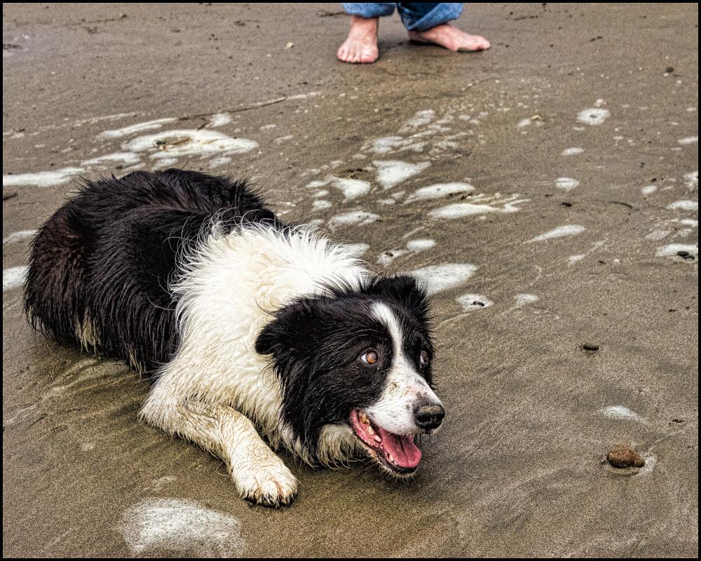 Body Language Is Half the Conversation (Image Credits: Flickr)