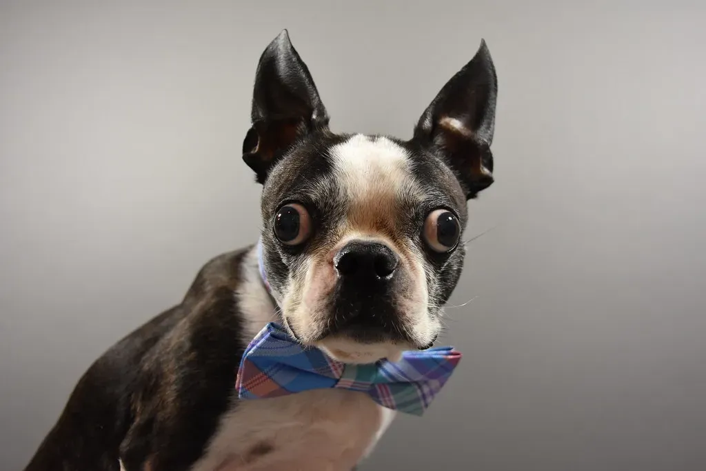 Conclusion (Image Credits: Flickr)