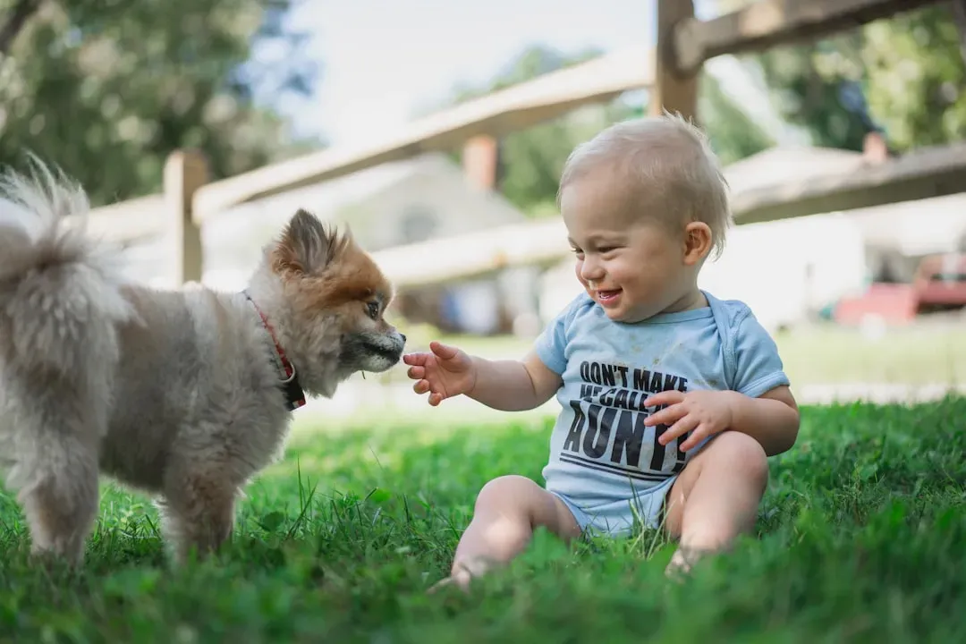 #11 - Letting Kids Approach Any Friendly-Looking Dog Is No Longer Acceptable (Image Credits: Unsplash)
