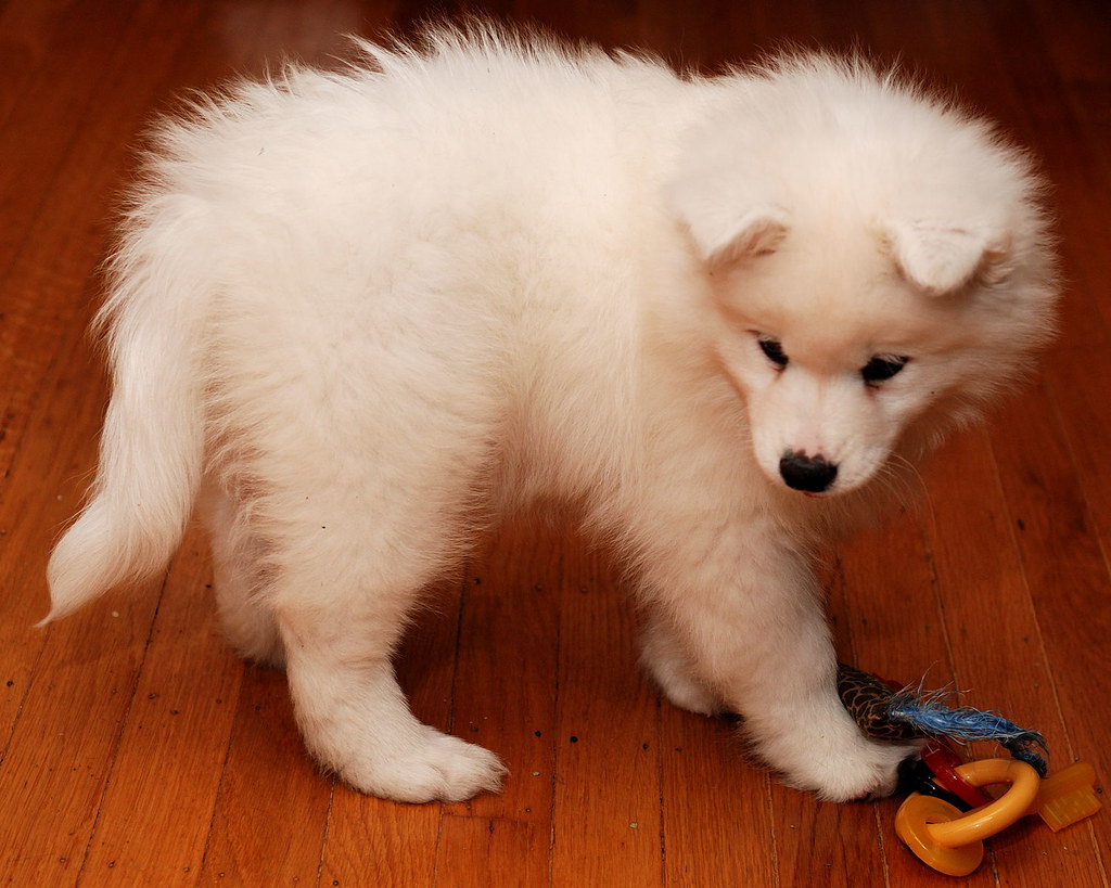 When Too Much Abundance Triggers Hoarding (Image Credits: Flickr)