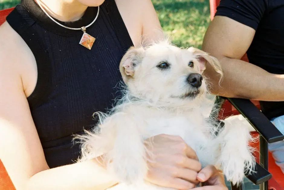 #3 - Choosing Your Lap Over Their "Safe Spot" (Image Credits: Pexels)