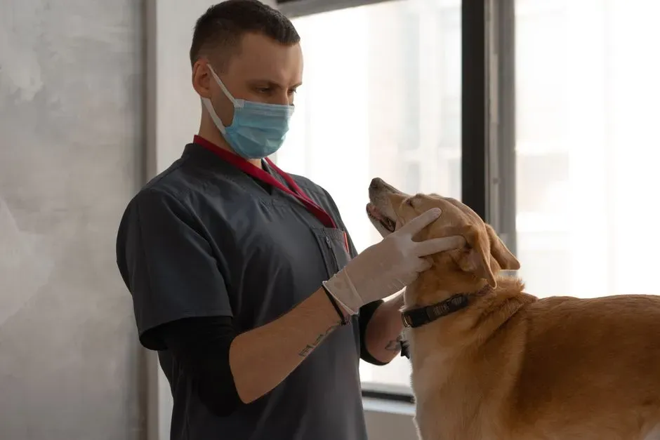 5. Plan for Routine Vet Care Like You Would for Car Services (Image Credits: Pexels)