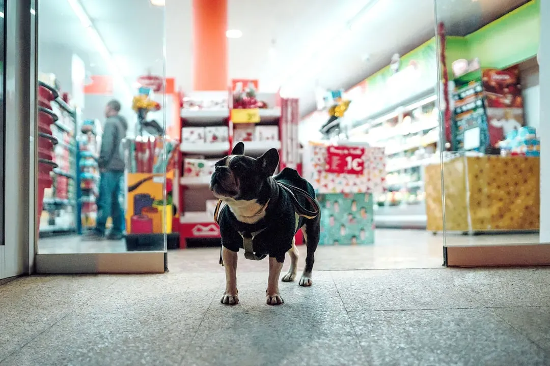 5. Overbuying Gear, Gadgets, and “Cute” Stuff You Don’t Need (Image Credits: Unsplash)
