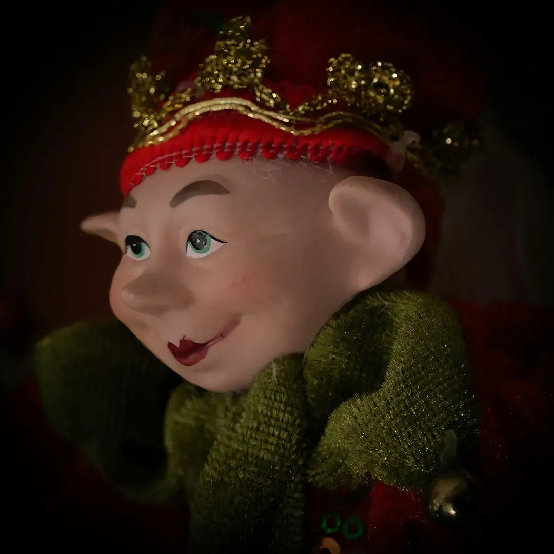 #10 Capricorn (December 22 – January 19): The Elf (Image Credits: Unsplash)