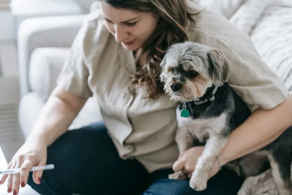 4. Treat Pet Insurance and Emergency Funds as Non‑Negotiables (Image Credits: Pexels)