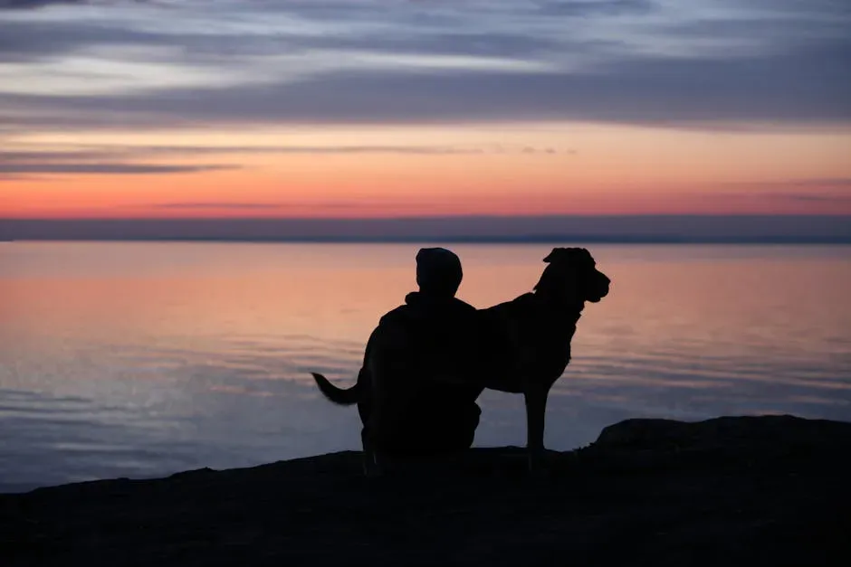 A Final Thought (Image Credits: Pexels)