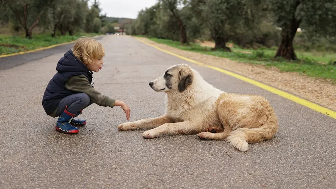 #3 - They Turn Shy Kids Into Confident Small Talkers (Image Credits: Unsplash)