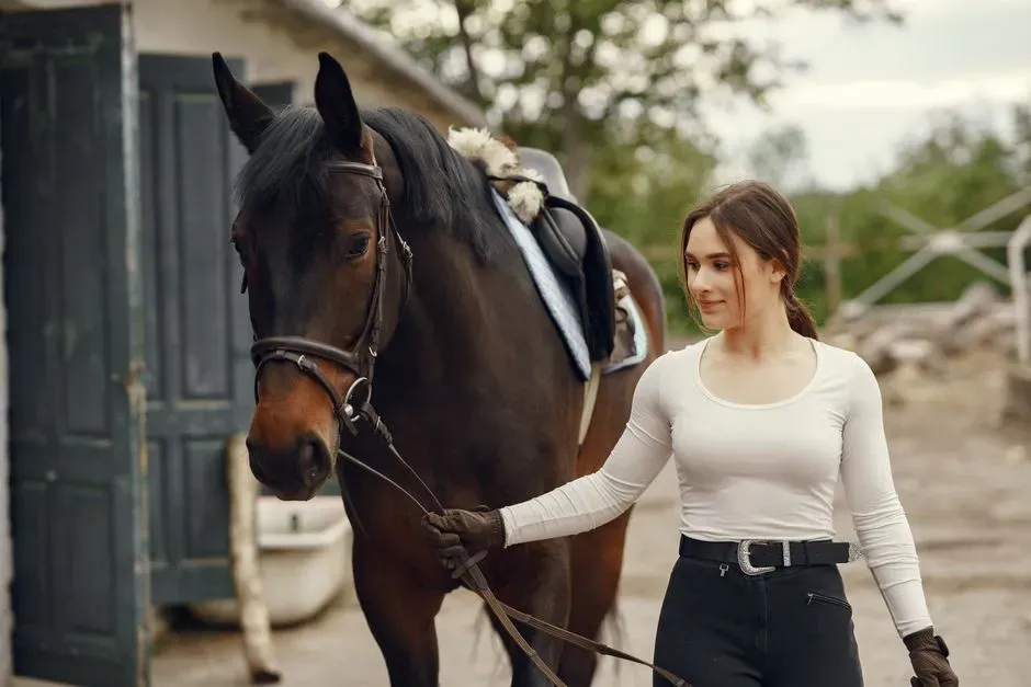 Conclusion: When Is an Expensive Horse Really “Worth It”? (Image Credits: Pexels)